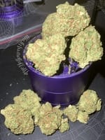 black widow weed