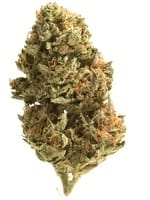 cookie cake strain