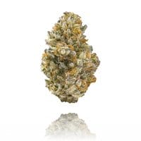 kiwi strain leafly