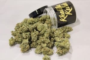 kk weed strain
