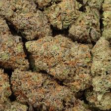 ace weed