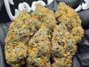 gelato 33 weed strain gelato king strain leafly purple gelato strain allbud gelato sunrise strain leafly cherry gelato strain allbud