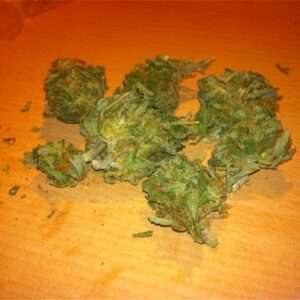 afghan kush purple afgh kush afghani kush afgan kush afghan kush autofloanwer